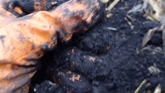 КОПАЮ СТАРОЕ НЕМЕЦКОЕ ПОСЕЛЕНИЕ. ЭТО МЕСТО БЬЮТ  БОЛЕЕ 10 ЛЕТ, А НАХОДКИ ЕСТЬ. КОП НА ПОЛЕ. КОП 202