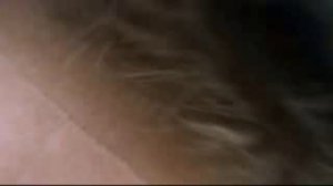 "Все4х4 ньюс" №2