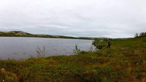 Ловля гольца летом