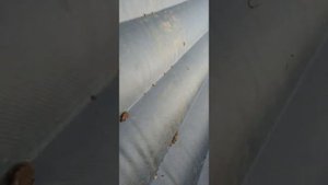 Навигатор 380 НДНД Ligt ,Mikatsu 9.9-15 Л.С. ,винт 11 шаг(сток),замер скорости в одного