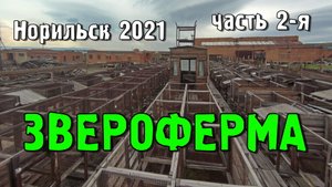 Заброшенная Звероферма,  часть 2 из 2-х.  Норильск (2021).