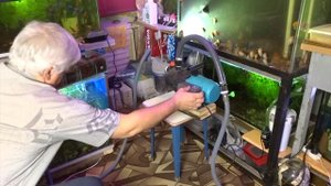 ПОДМЕНА ВОДЫ В АКВАРИУМАХ