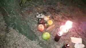 ПРОСИТЬ БОГАТСТВО У ЛЕШЕГО. ВЕДЬМИНА ИЗБА ▶️ ИНГА ХОСРОЕВА.