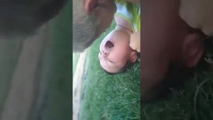 Девочкам нравится когда мальчишки дерутся?