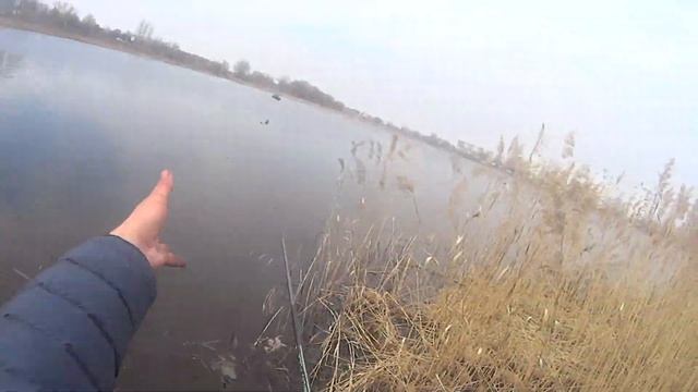 ГОРОДСКАЯ РЫБАЛКА.ЛОВЛЯ РАННЕЙ ВЕСНОЙ НА МАХОВУЮ УДОЧКУ