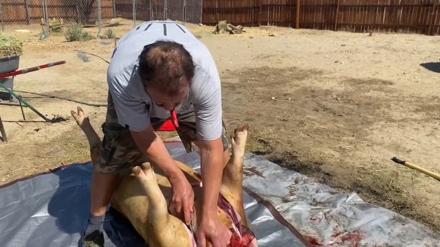Разделка свинины по-украински в пустыне Калифорнии смотреть онлайн
