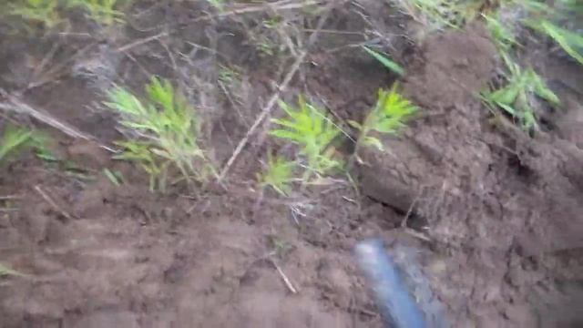 Поле сказка!!Погода Г...но! (часть1/2) смотреть онлайн