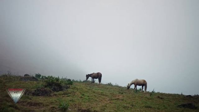 2021 Rivian R1T Electric Truck Extreme Test Drive in Peru смотреть онлайн