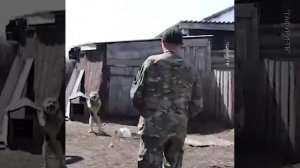 Пес увидел вернувшегося из зоны СВО хозяина и от счастья нарушил все законы гравитации
