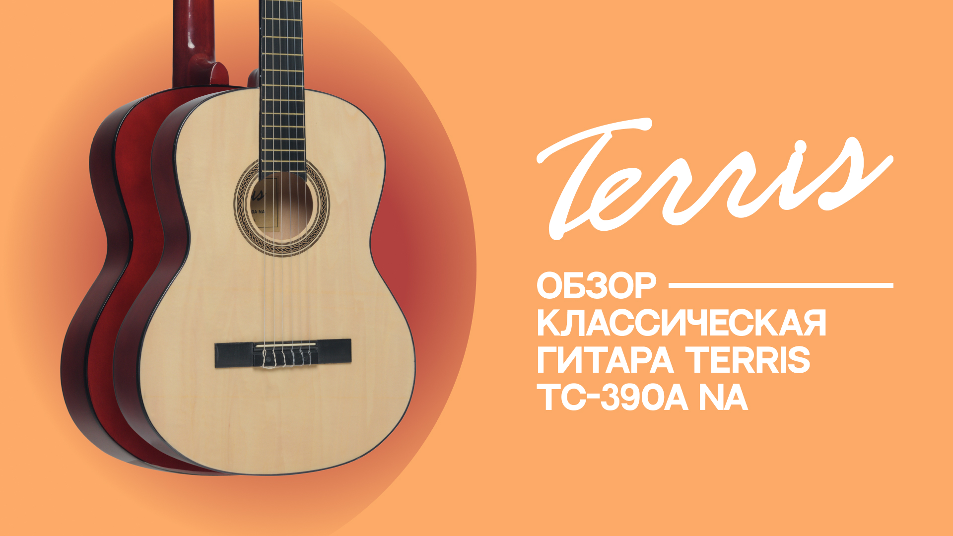 Обзор классической гитары TERRIS TC390A NA