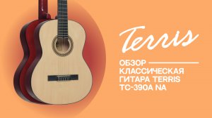 Обзор классической гитары TERRIS TC390A NA