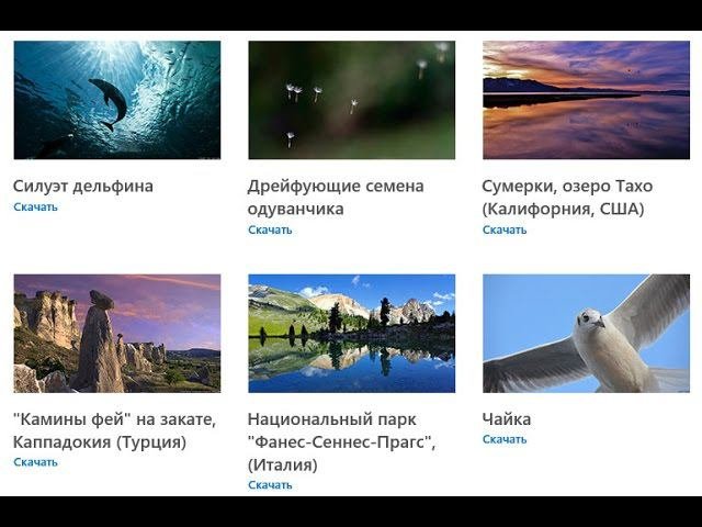 Персонализация Windows 10  Как скачать темы и обои Microsoft