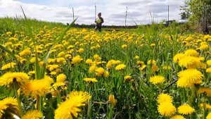 Бишкурай... Минем туган авылым!