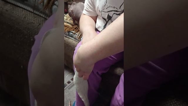 Лангетка для руки,при тонусе после инсульта. смотреть онлайн