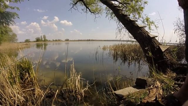 Красноперка на поплавок с берега 2 часть ? смотреть онлайн