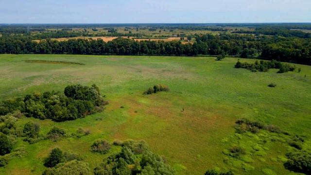 4K. Тельманово. Гвардейский район. Калининградская область смотреть онлайн