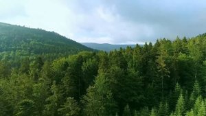 Тыва горловое пение