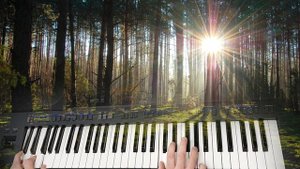 БЕЛОВЕЖСКАЯ ПУЩА /  YAMAHA PSR SX900