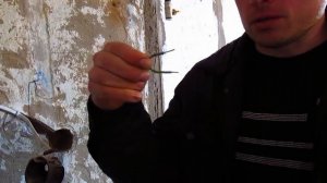 Как подключить комнатный термостат или программатор к котлу?