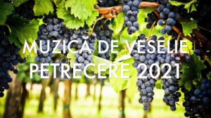 MUZICĂ MOLDOVENEASCĂ DE PETRECERE CEA MAI NOUĂ  Mузикэ Mолдовеняскэ де петречере  * 2020 - 2021 *