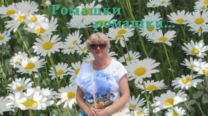 Ромашки, ромашки