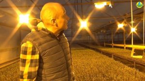 3 важных фактора в теплице - ДЛЯ РАССАДЫ ТОМАТОВ И ОГУРЦОВ