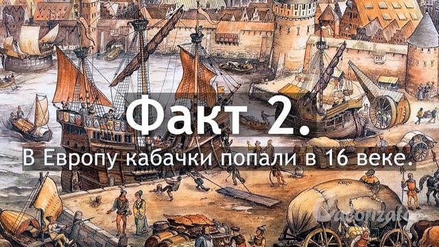 Ленивые БЕЛЯШИ ИЗ КАБАЧКОВ с фаршем. Рецепт ПП-беляшей без теста. НЕВЕРОЯТНО НЕЖНО и ВКУСНО!