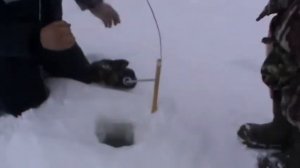 Ловля щуки на жерлицы. Кама январь 2016 год.