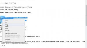 DBMS_PROFILER - A Key to Identify PL/SQL Performance Bottleneck