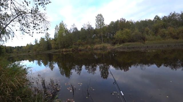 Рыбалка на спиннинг! Вечерняя рыбалка/прогулка на красивой осенней реке 12.09.2020!