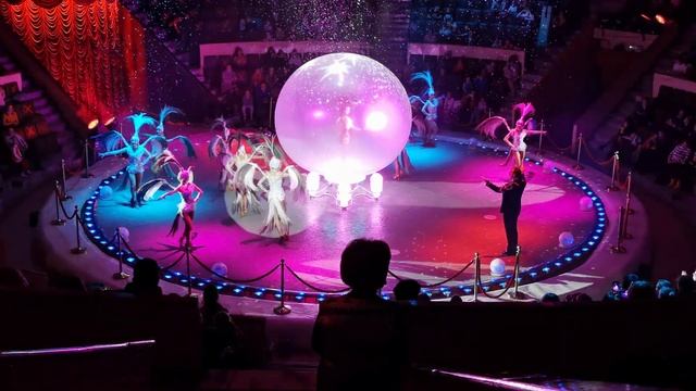 Цирк 03.2021 Шоу воды, огня и света! часть 10 VID 20210327 151125 смотреть онлайн