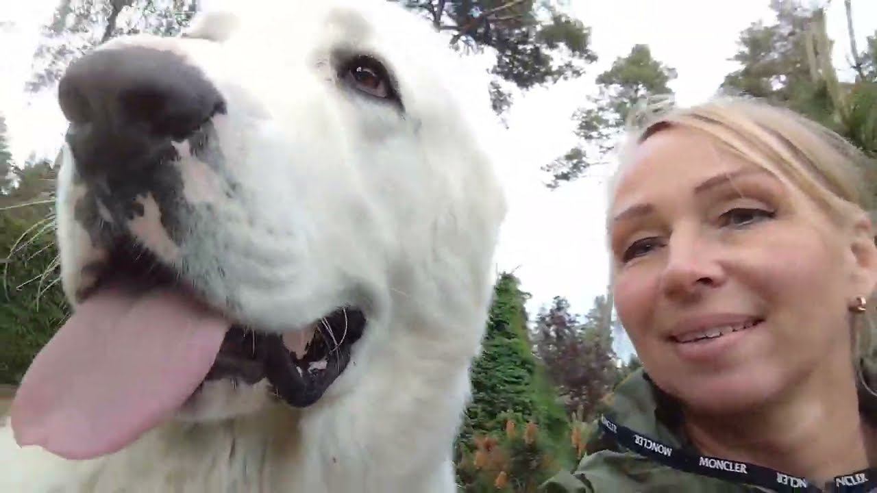 Выходной день в питомнике смотреть онлайн