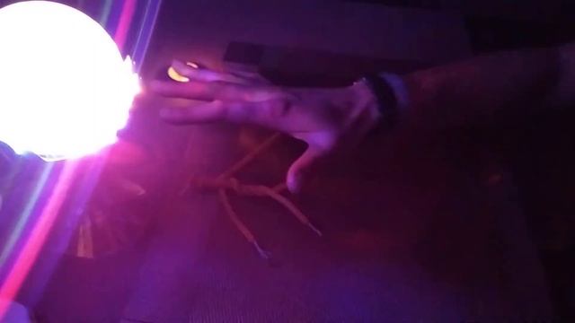 Исцеление энергией / Сеанс оздоровления/ Energy healing