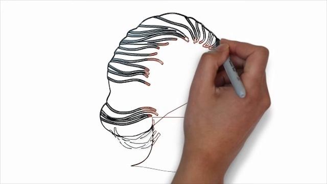 Как рисовать лицо.Как поэтапно нарисовать лицо девушки карандашом