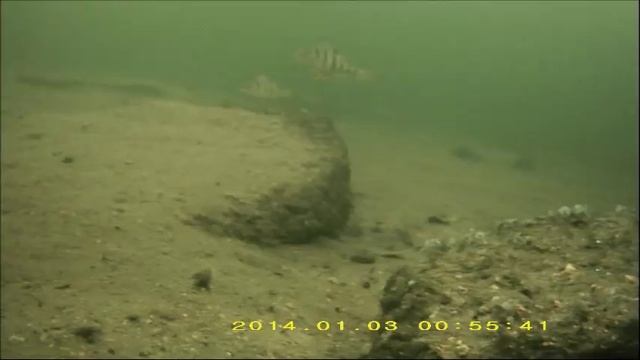 Подводная камера для рыбалки. Большой комплект Full HD Шарташ 4 м смотреть онлайн