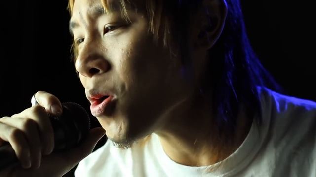 TC Helicon VoiceLive Play Vocal Harmony and Effects Processor at Soundsliveshop.com смотреть онлайн