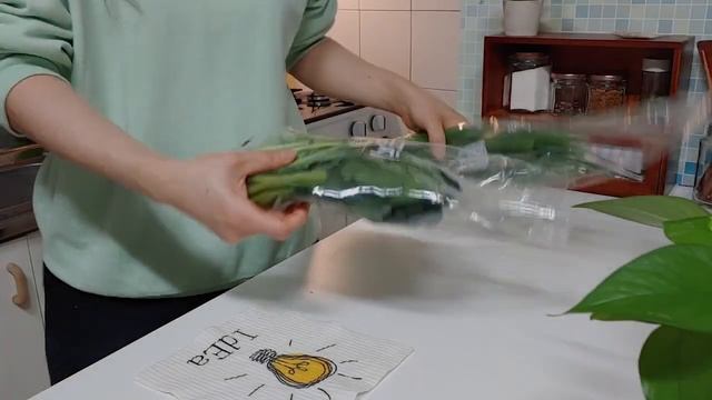 ENG) vlog 자취브이로그, 비싼 바질 대신 시금치김치와 고구마 먹으며 책읽는 자취 일상 | 마파두부+꼬리수육탕, 소설책 다꾸