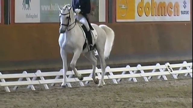 Psy - cho Maestoso & Marina Erdmann - erster Grand Prix Start ... смотреть онлайн