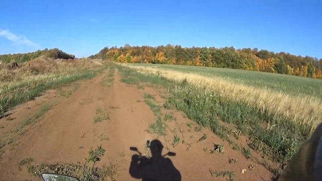 На электросамокате White Siberia Luna 800 по бездорожью в лес смотреть онлайн