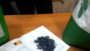 Обзор семян подсолнечника "Лимит" под технологию Евролайтинг