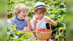 Урок окружающего мира на тему:"В лес по ягоды пойдём"