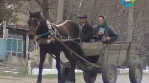 гужевой транспорт