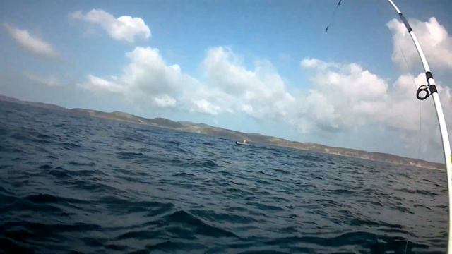 Камбала в море и мы её поймаем. смотреть онлайн