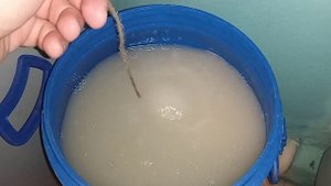 Бражная гравицапа