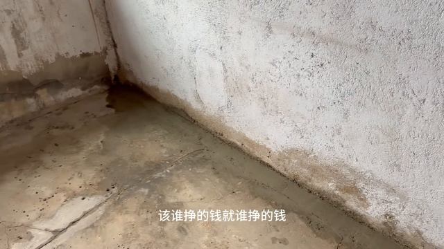 今天有歌听哦，老狼化身泥瓦匠，不过干的活是真的不行