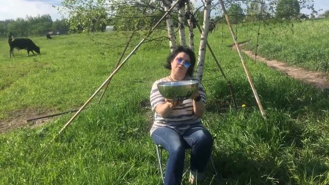 Красивая миска для медведя Васи