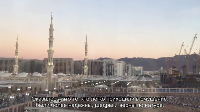 Смущение - признак надежности смотреть онлайн