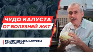 ПРОБЛЕМЫ С ЖКТ, А ОСОБЕННО — С ЖЕЛУДКОМ, ЛЕГКО РЕШИТ ОБЫЧНАЯ КАПУСТА!