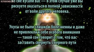 К чему снится Укус, укусить сонник, толкование сна