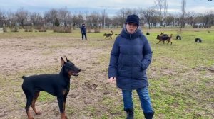 Клетка в квартире для животного! ЗА? Против? Дрессировка собаки